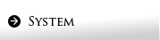 SYSTEM
